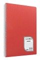 Çınar Colormaxi Çizgili Spiralli PP Kapak Defter 21 cm x 29.7 cm 120 Yaprak