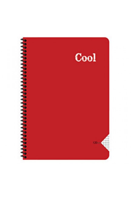 Keskin Color Cool A4 72 Yaprak Kareli Pp Kapak Spiralli Defter